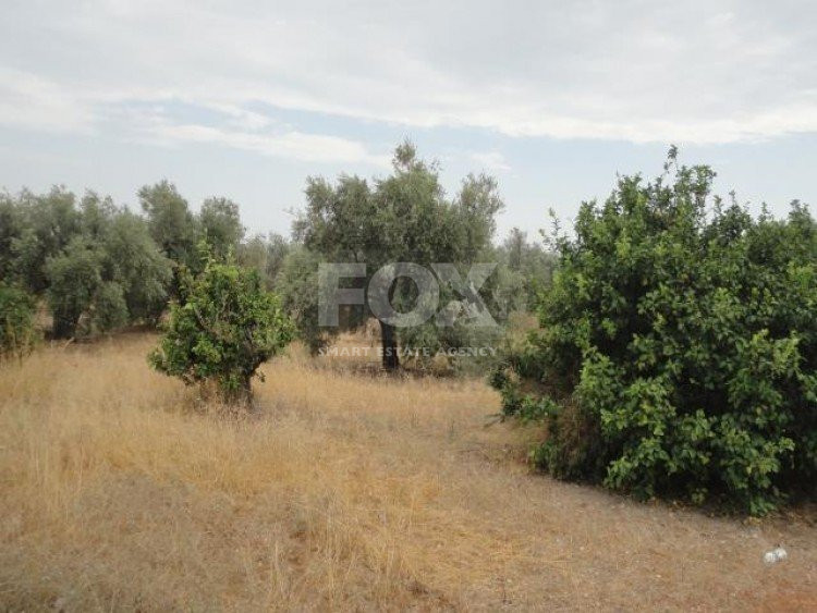 Plot For Sale In Kolossi Limassol Cyprus