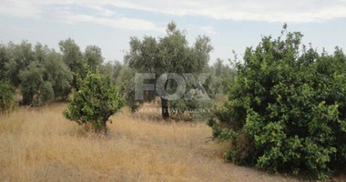 Plot For Sale In Kolossi Limassol Cyprus