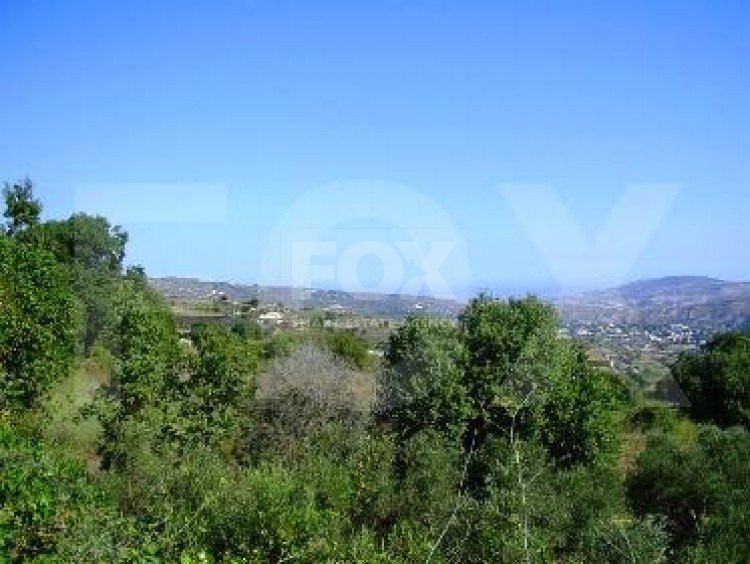Land For Sale In Stroumpi Paphos Cyprus