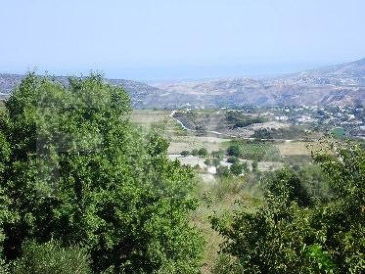 Land For Sale In Stroumpi Paphos Cyprus