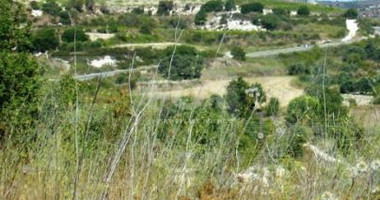 Land For Sale In Stroumpi Paphos Cyprus