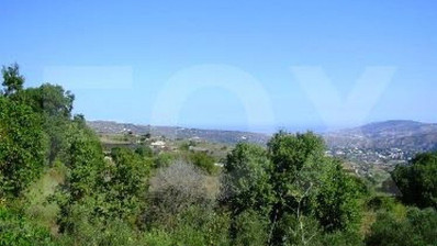 Land For Sale In Stroumpi Paphos Cyprus