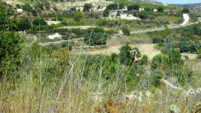 Land For Sale In Stroumpi Paphos Cyprus