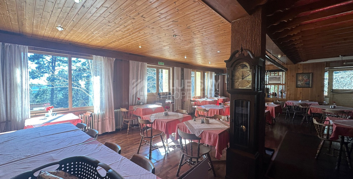 Traditional Hotel for sale in Pano Platres