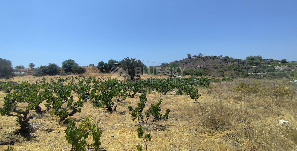 Agricultural land for sale in Agios Ambrosios, Limassol