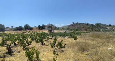 Agricultural land for sale in Agios Ambrosios, Limassol