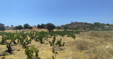 Agricultural land for sale in Agios Ambrosios, Limassol