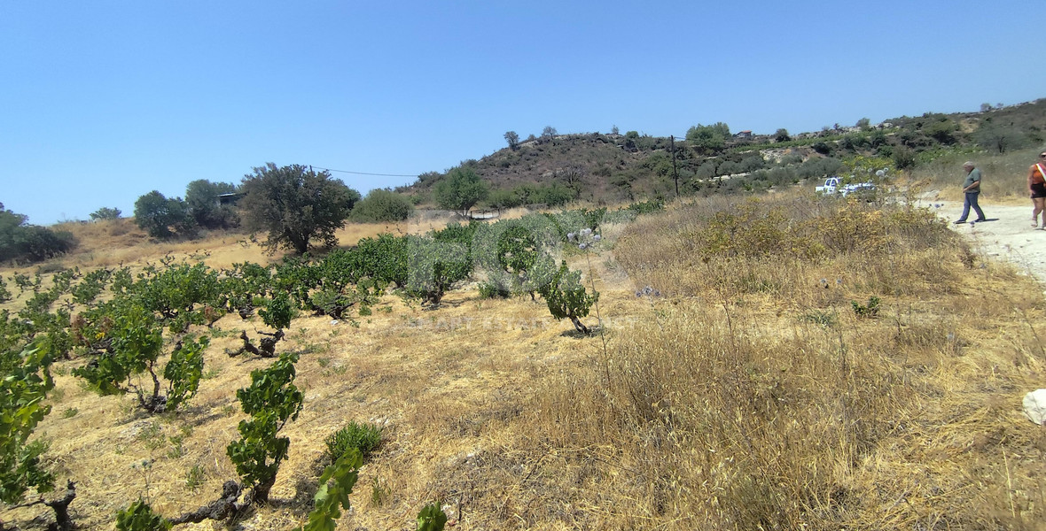 Agricultural land for sale in Agios Ambrosios, Limassol