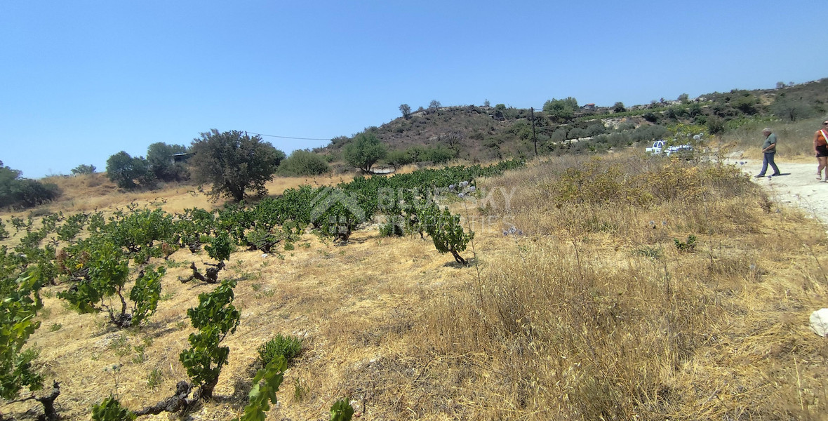 Agricultural land for sale in Agios Ambrosios, Limassol