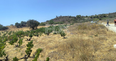 Agricultural land for sale in Agios Ambrosios, Limassol