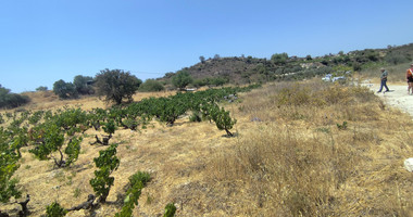 Agricultural land for sale in Agios Ambrosios, Limassol
