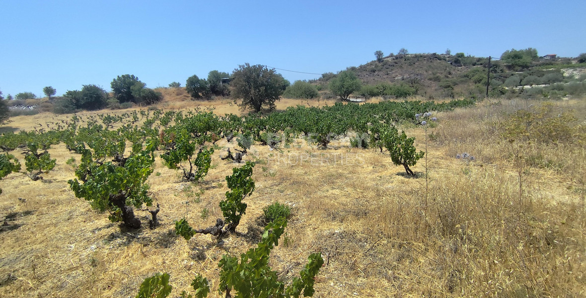 Agricultural land for sale in Agios Ambrosios, Limassol