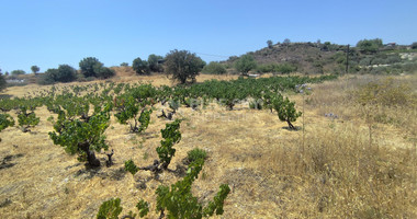 Agricultural land for sale in Agios Ambrosios, Limassol