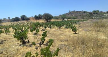 Agricultural land for sale in Agios Ambrosios, Limassol