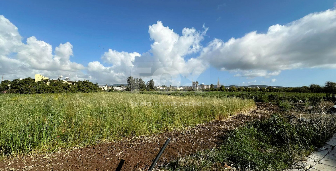 Exclusive investment opportunity in Timi, Paphos