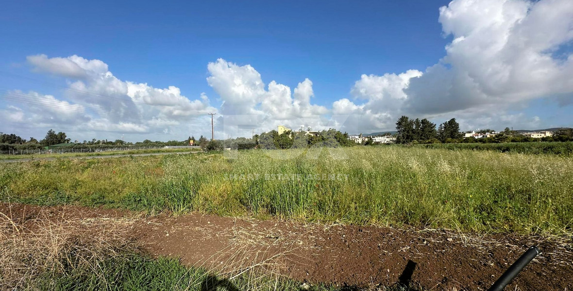 Exclusive investment opportunity in Timi, Paphos