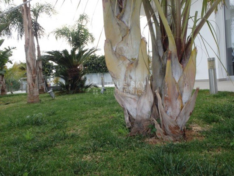 5 Bed House For Sale In Panthea Limassol Cyprus