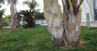 5 Bed House For Sale In Panthea Limassol Cyprus