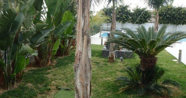 5 Bed House For Sale In Panthea Limassol Cyprus