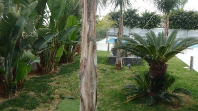 5 Bed House For Sale In Panthea Limassol Cyprus