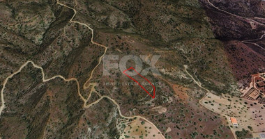 Agricultural Land for sale in Asgata