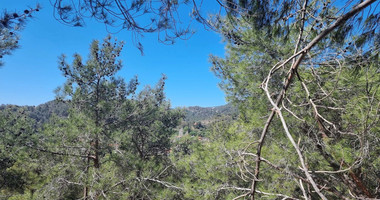 21,690 sq.m. Moniatis Land for Sale | Exclusive Hillside Development Opportunity