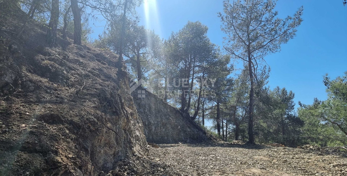 21,690 sq.m. Moniatis Land for Sale | Exclusive Hillside Development Opportunity