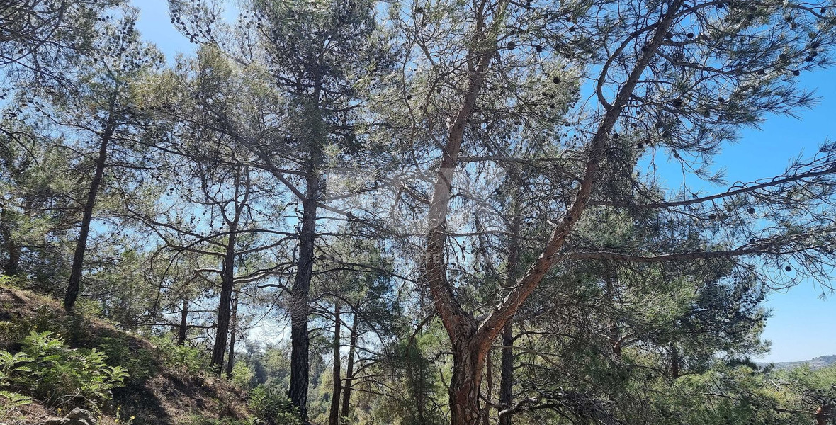 Residential Land for Sale in Moniatis – A Prime Property Investment Opportunity in Cyprus at Just €59/m²