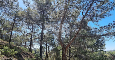 Residential Land for Sale in Moniatis – A Prime Property Investment Opportunity in Cyprus at Just €59/m²