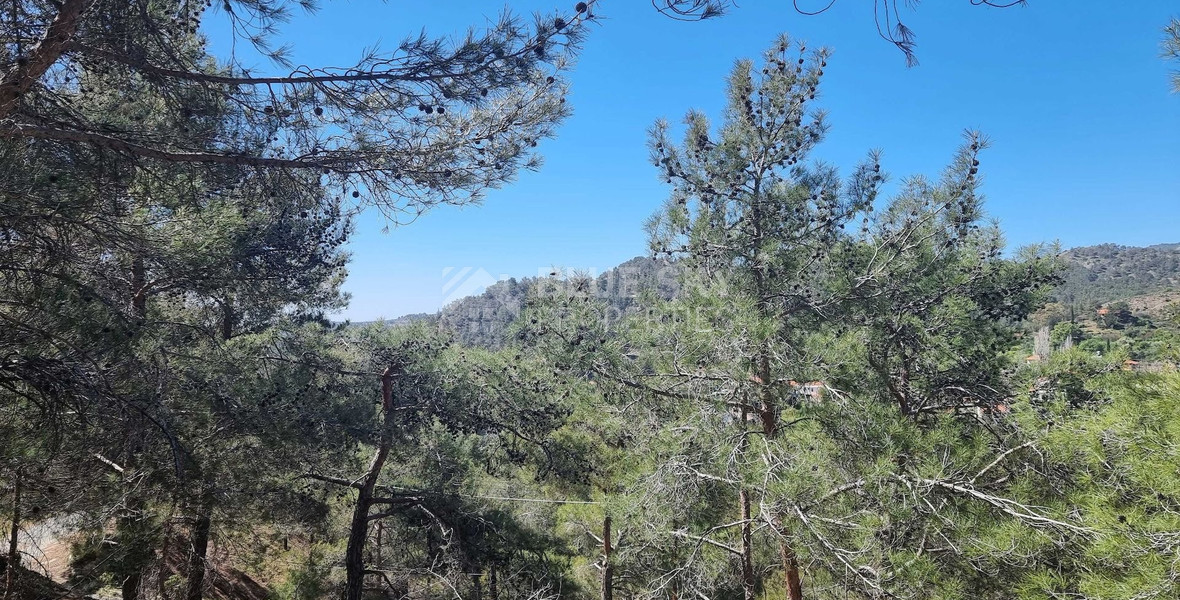 21,690 sq.m. Moniatis Land for Sale | Exclusive Hillside Development Opportunity