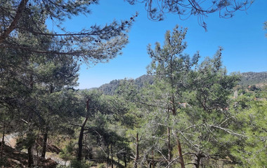 21,690 sq.m. Moniatis Land for Sale | Exclusive Hillside Development Opportunity