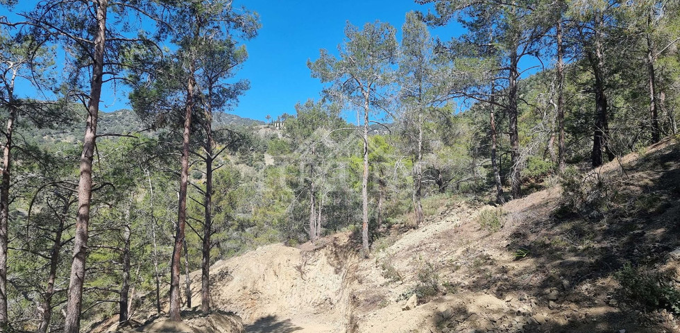 21,690 sq.m. Moniatis Land for Sale | Exclusive Hillside Development Opportunity