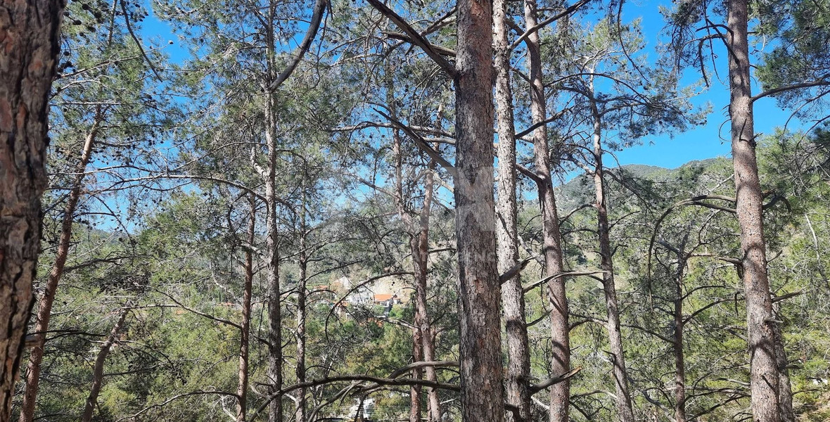 Residential Land for Sale in Moniatis – A Prime Property Investment Opportunity in Cyprus at Just €59/m²