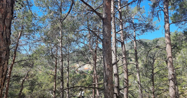 21,690 sq.m. Moniatis Land for Sale | Exclusive Hillside Development Opportunity