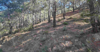 21,690 sq.m. Moniatis Land for Sale | Exclusive Hillside Development Opportunity