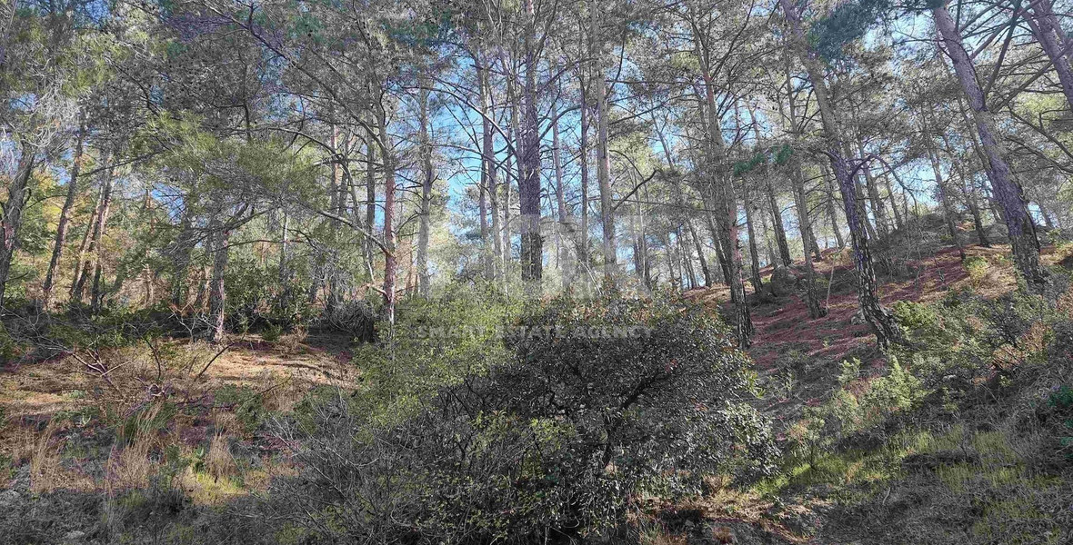 Residential Land for Sale in Moniatis – A Prime Property Investment Opportunity in Cyprus at Just €59/m²