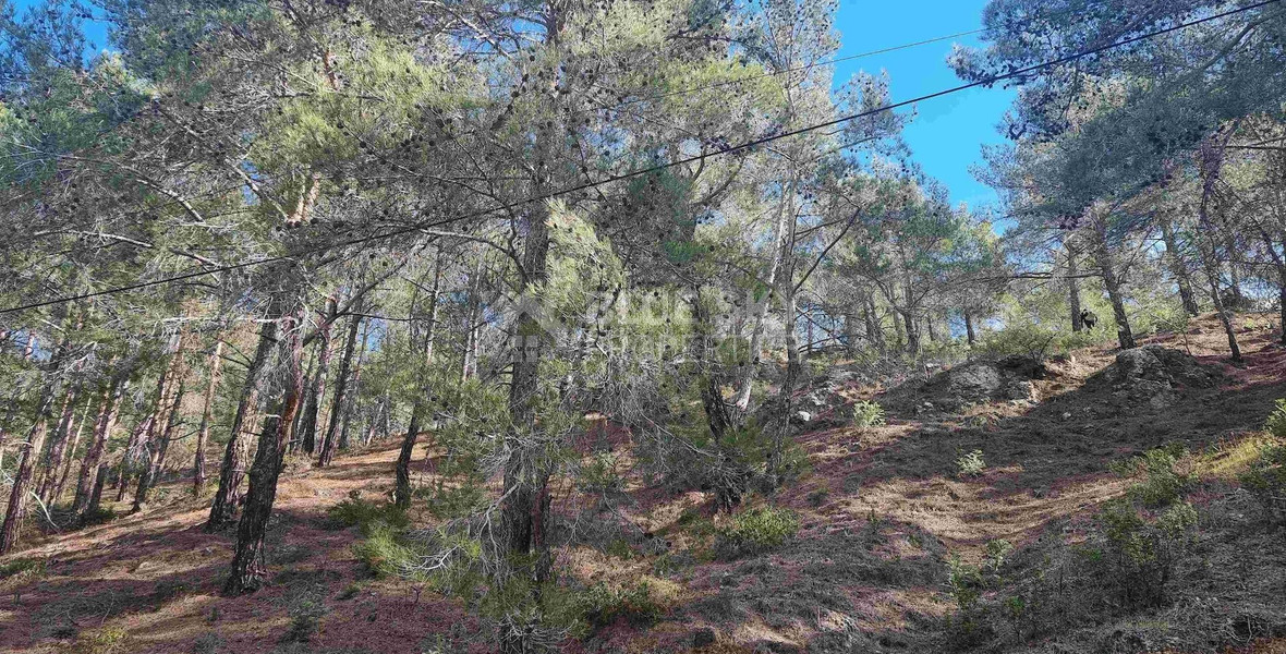 21,690 sq.m. Moniatis Land for Sale | Exclusive Hillside Development Opportunity