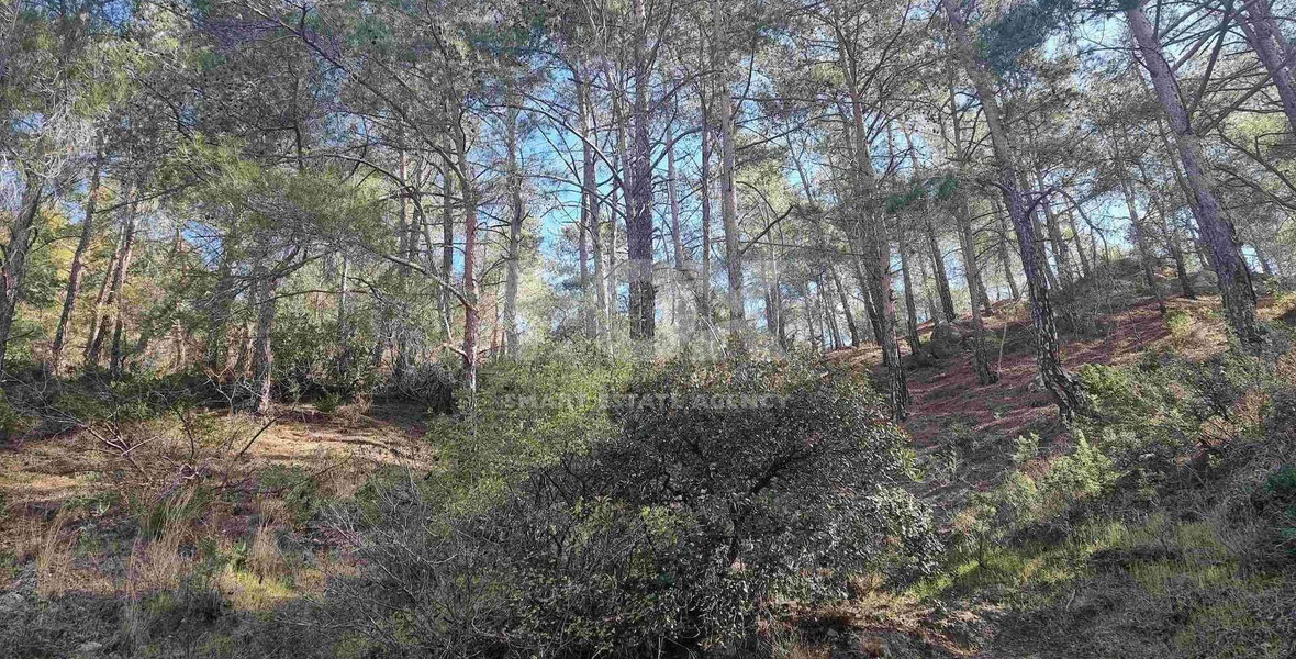 21,690 sq.m. Moniatis Land for Sale | Exclusive Hillside Development Opportunity