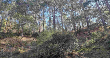 21,690 sq.m. Moniatis Land for Sale | Exclusive Hillside Development Opportunity