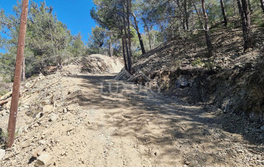 Exclusive Residential Land in Lush Moniatis – 21,690 m² at Only €59/m² – Stunning Investment