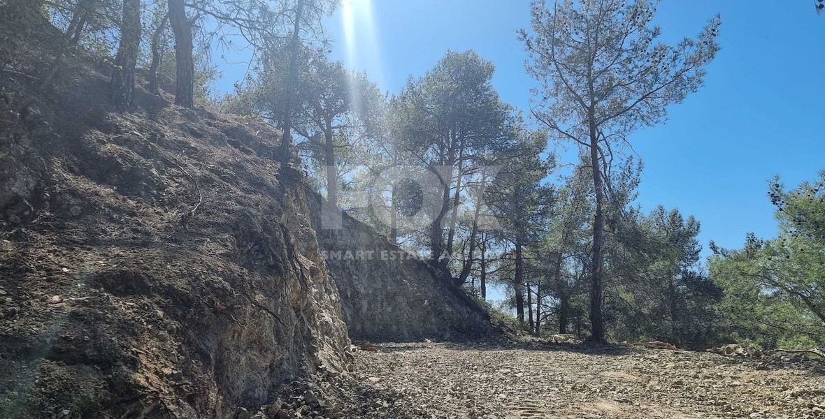 Exclusive Residential Land in Lush Moniatis – 21,690 m² at Only €59/m² – Stunning Investment