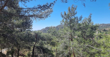 Moniatis Luxury Estate Land for Sale – 21,690 sq.m. Private Hillside Compound Near Limassol