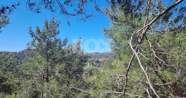 Exclusive Residential Land in Lush Moniatis – 21,690 m² at Only €59/m² – Stunning Investment
