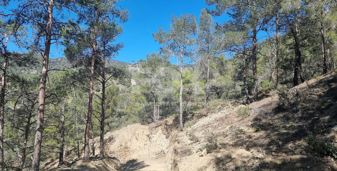Exclusive Residential Land in Lush Moniatis – 21,690 m² at Only €59/m² – Stunning Investment