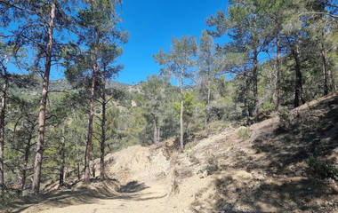 Moniatis Luxury Estate Land for Sale – 21,690 sq.m. Private Hillside Compound Near Limassol