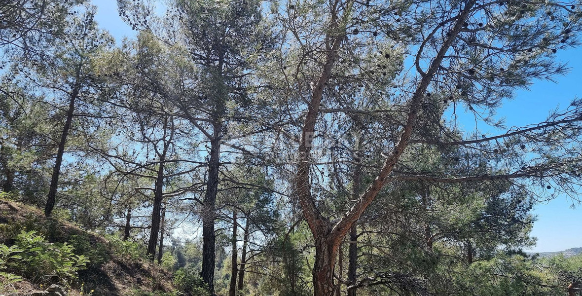 Moniatis Luxury Estate Land for Sale – 21,690 sq.m. Private Hillside Compound Near Limassol