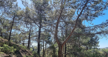 Moniatis Luxury Estate Land for Sale – 21,690 sq.m. Private Hillside Compound Near Limassol