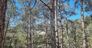 Exclusive Residential Land in Lush Moniatis – 21,690 m² at Only €59/m² – Stunning Investment