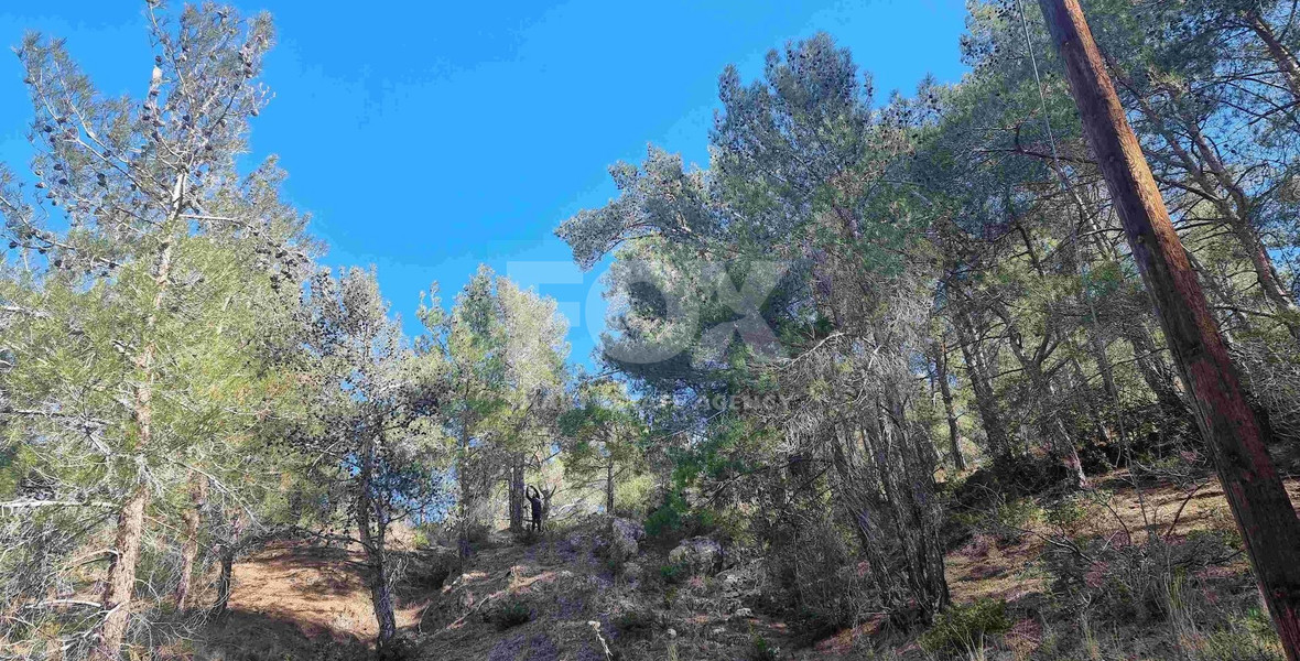 Exclusive Residential Land in Lush Moniatis – 21,690 m² at Only €59/m² – Stunning Investment