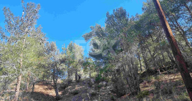 Exclusive Residential Land in Lush Moniatis – 21,690 m² at Only €59/m² – Stunning Investment